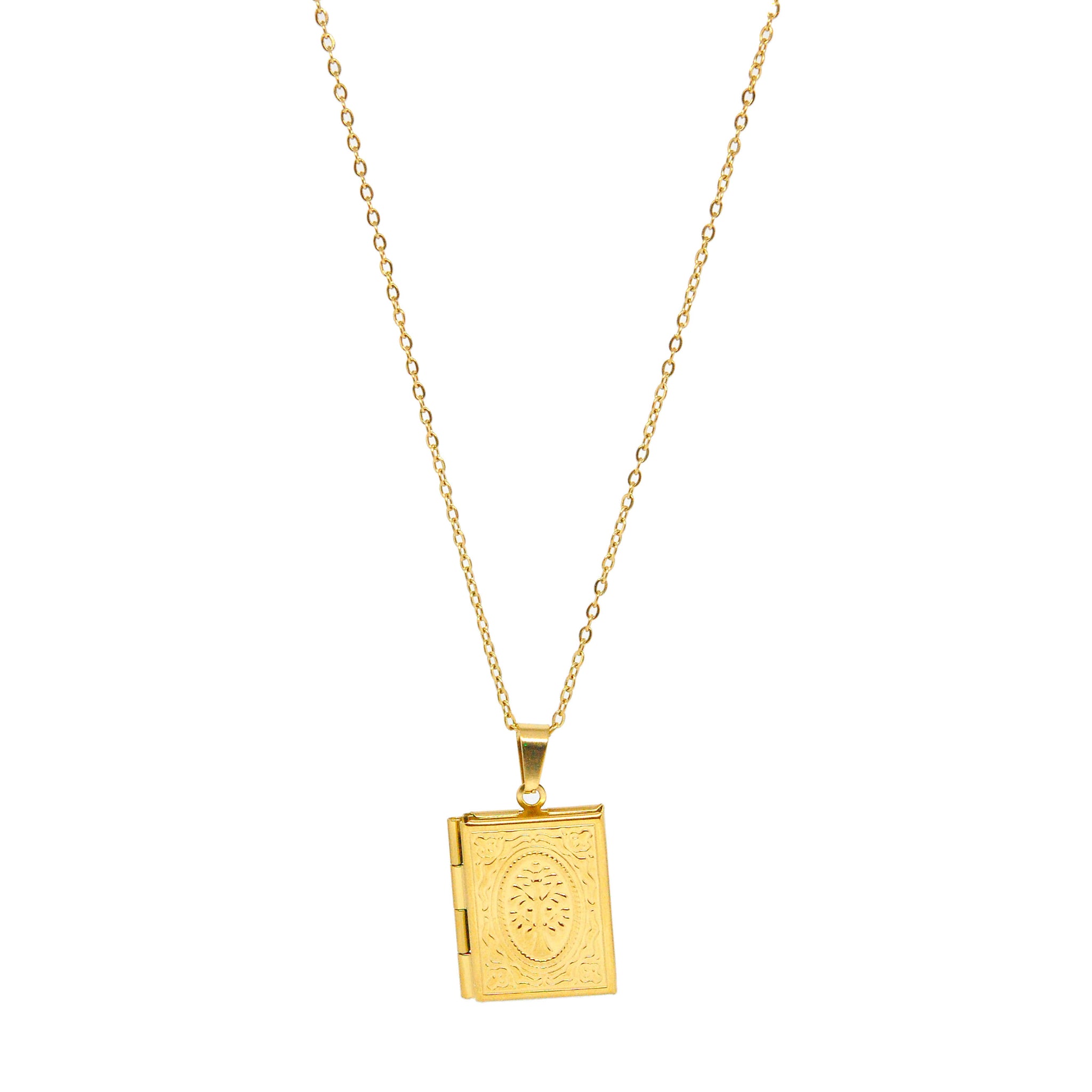 ESN 7630: Gold Plated Open-able "Story of your Life" Locket Necklace