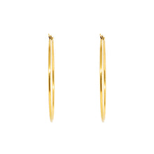 ESE 7705: All IPG XXL 73mm Hoop Earrings