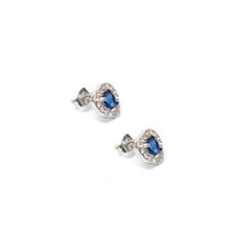 ESE 7934: Enclosed Cz-Studded Sapphire Blue Heart Cz Earrings