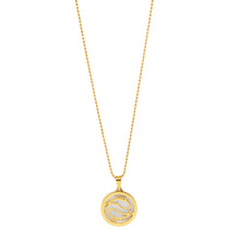 ESN 7964: All IPG Mop Pisces Zodiac Necklace w/ 18