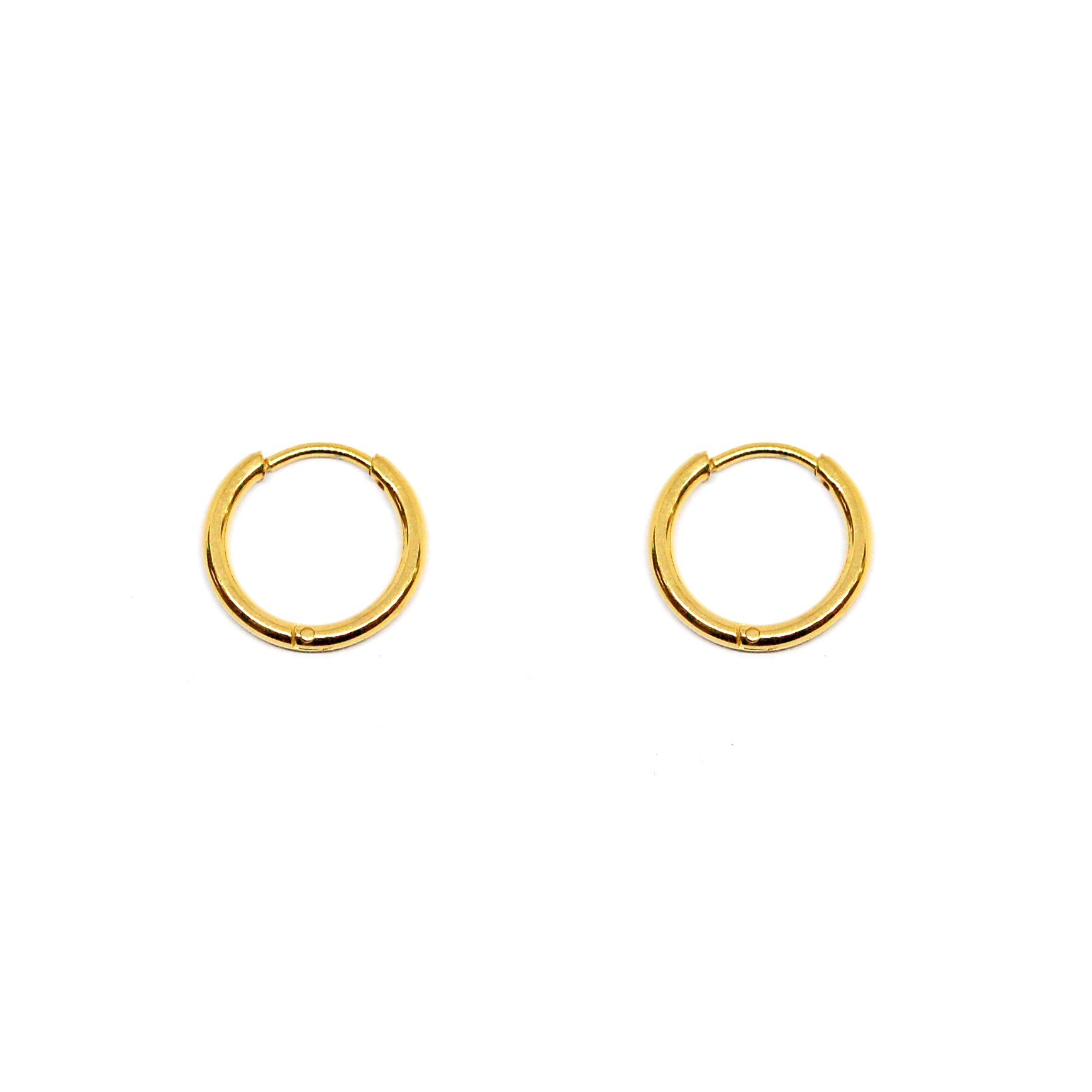 ESE 7996: All IPG Thin 12mm Hoop Earrings