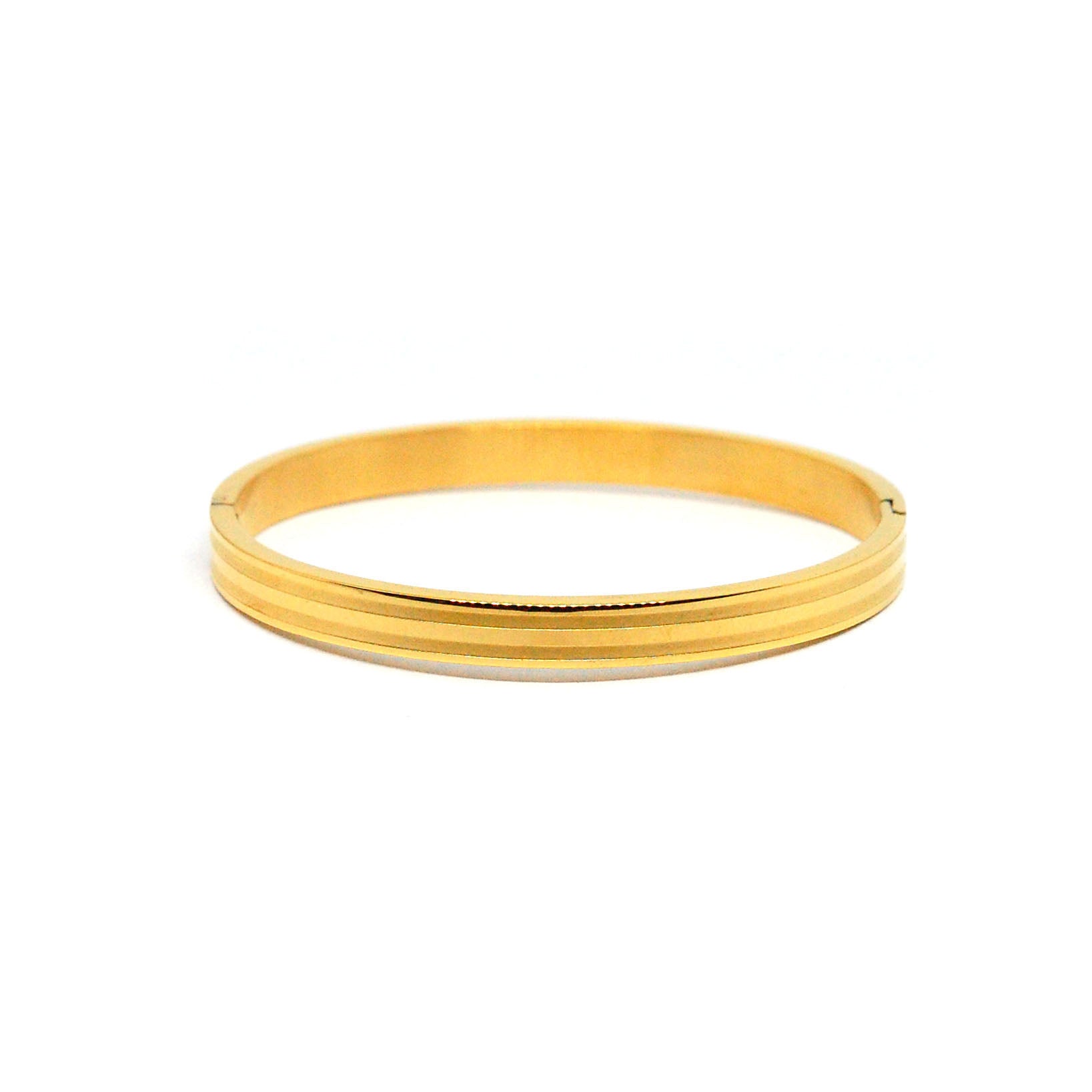 ESBG 8485: All IPG 2-Matte Lined Glossy Hard Bangle (6mm)