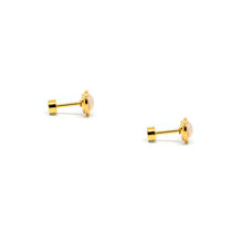 ESE 8536: All IPG Enclosed Heart 6mm Special Stone Studs w/ Baby Safe Chapita Earrings