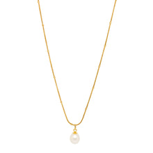 ESN 8598: All IPG Treasure Single Pearl Necklace (17