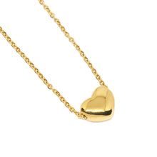 ESN 8981:  All IPG Ivana Heart Necklace (17