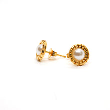 ESE 9202: All IPG Stylish Studs w/ FWP Earrings